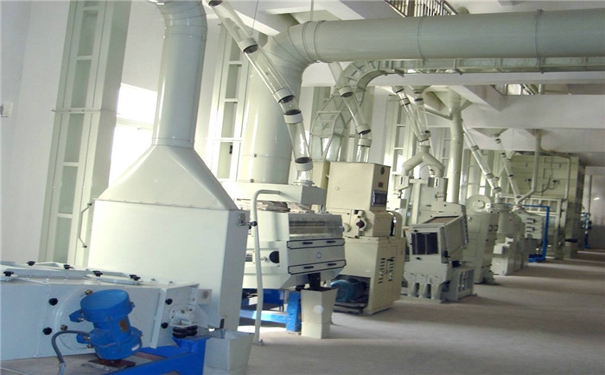 遼寧200噸大米加工成套設備.jpg